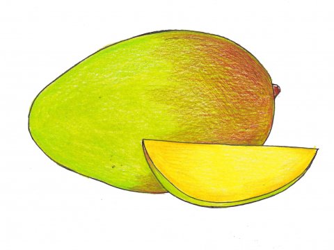 mangó, ávöxtur